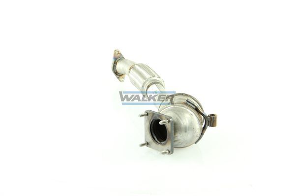 WALKER, Catalyseur