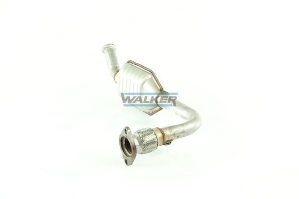 WALKER, Catalyseur