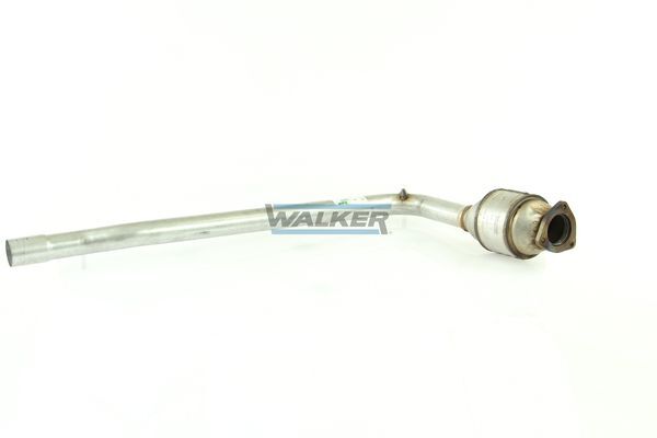 WALKER, Catalyseur