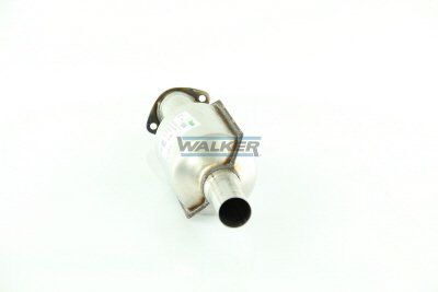 WALKER, Catalyseur