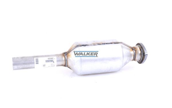 WALKER, Catalyseur