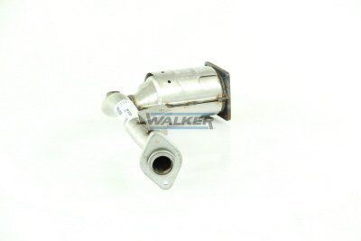 WALKER, Catalyseur