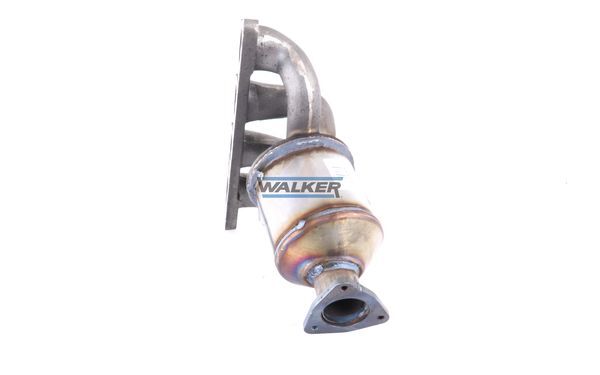 WALKER, Catalyseur