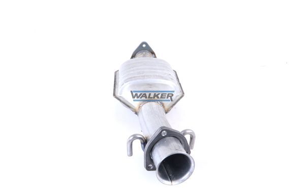 WALKER, Catalyseur