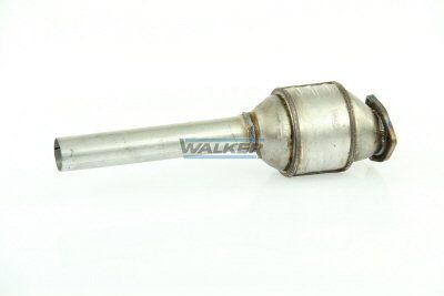 WALKER, Catalyseur