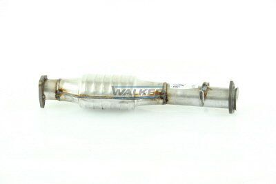 WALKER, Catalyseur