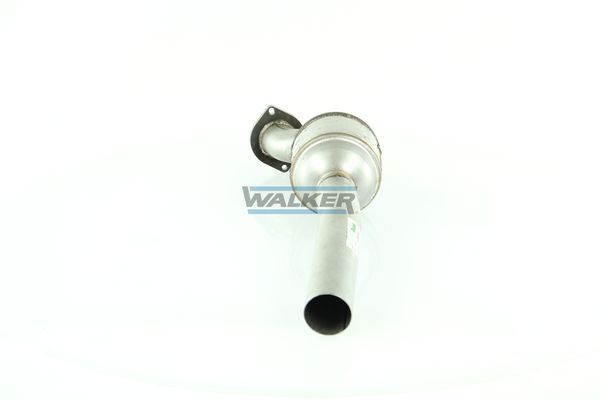 WALKER, Catalyseur