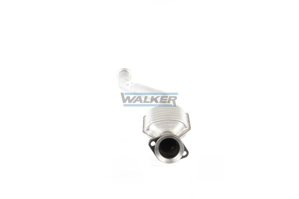 WALKER, Catalyseur