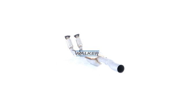 WALKER, Catalyseur