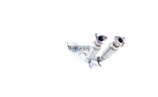 WALKER, Catalyseur