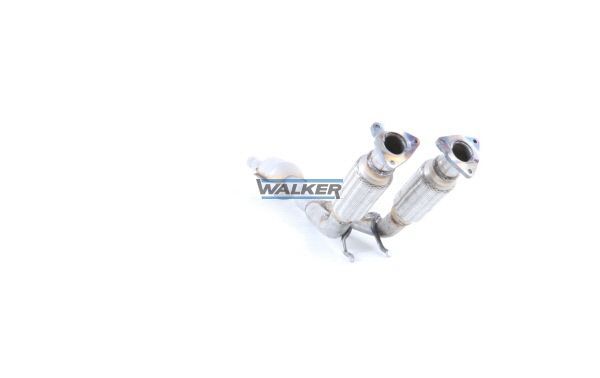 WALKER, Catalyseur