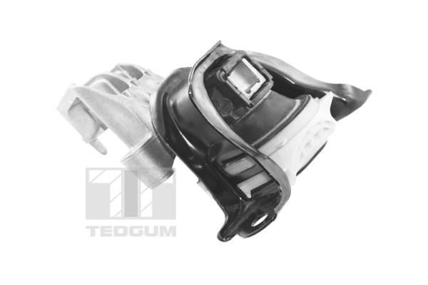 TEDGUM, Support moteur