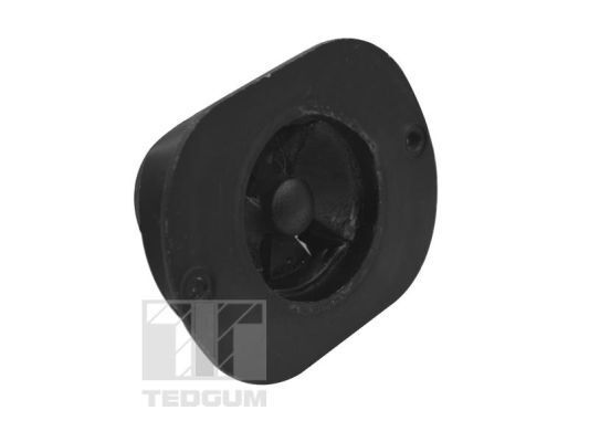 TEDGUM, Support moteur