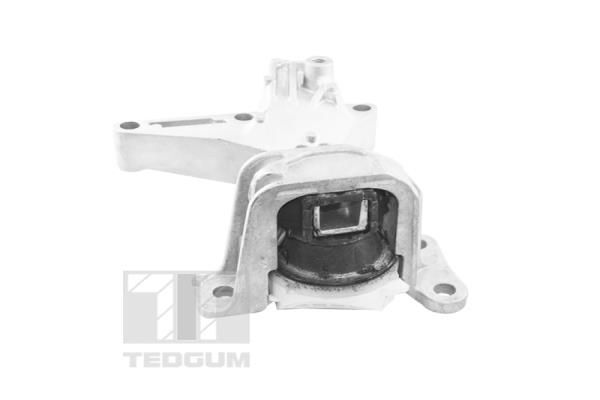 TEDGUM, Support moteur