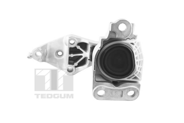 TEDGUM, Support moteur