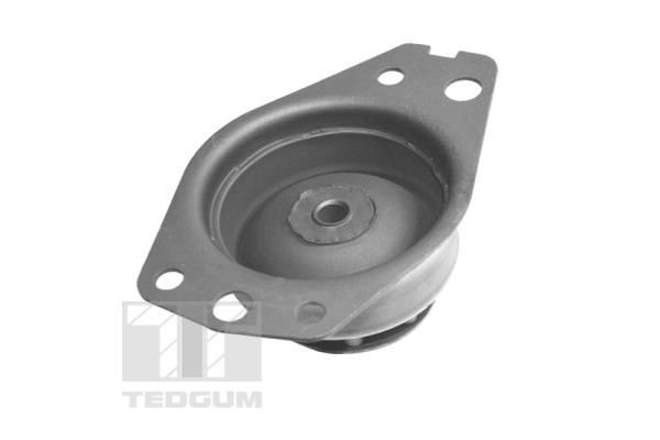 TEDGUM, Support moteur