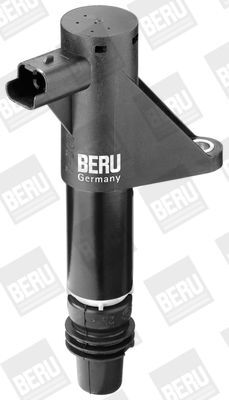 BorgWarner (BERU), Bobine d'allumage