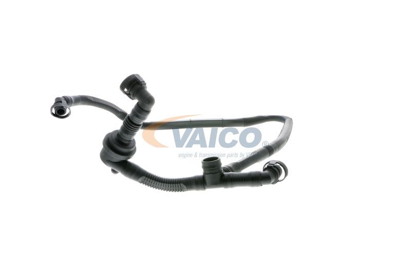 VAICO, Tuyau, ventilation de carter-moteur