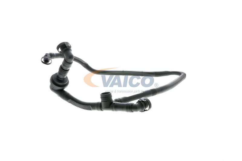 VAICO, Tuyau, ventilation de carter-moteur