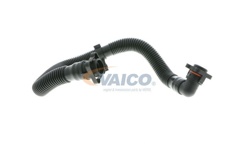 VAICO, Tuyau, ventilation de carter-moteur