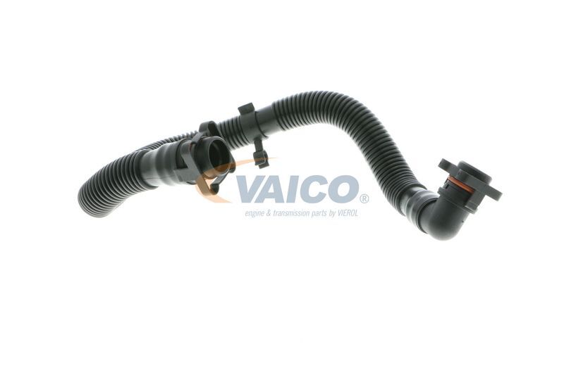 VAICO, Tuyau, ventilation de carter-moteur