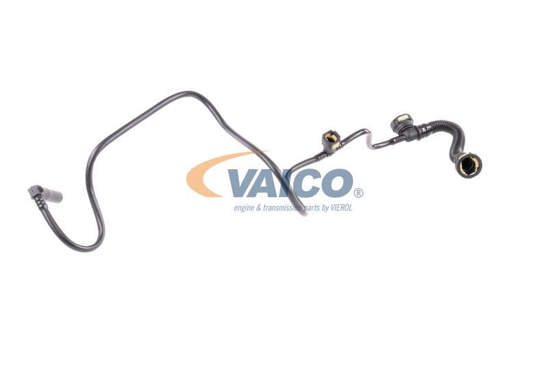 VAICO, Tuyau, ventilation de carter-moteur