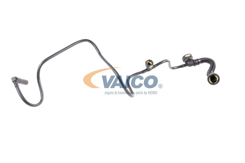 VAICO, Tuyau, ventilation de carter-moteur