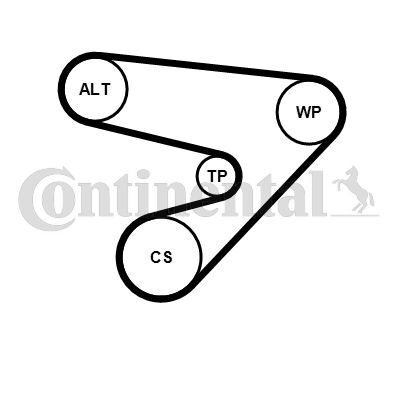 CONTINENTAL CTAM, Pompe à eau+Jeu de courroie trapézoïdale à nervures