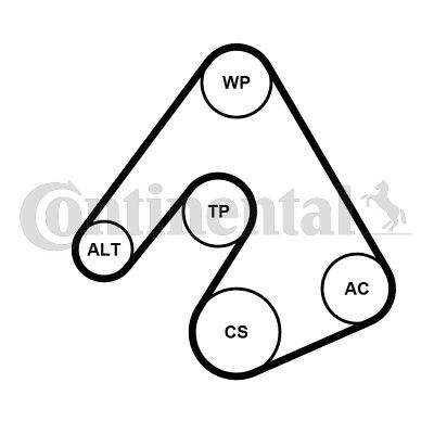 CONTINENTAL CTAM, Pompe à eau+Jeu de courroie trapézoïdale à nervures