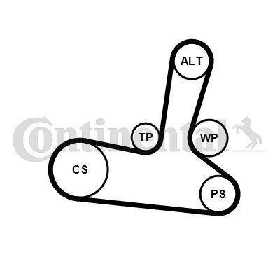 CONTINENTAL CTAM, Pompe à eau+Jeu de courroie trapézoïdale à nervures