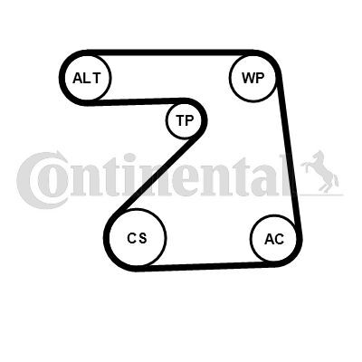 CONTINENTAL CTAM, Pompe à eau+Jeu de courroie trapézoïdale à nervures