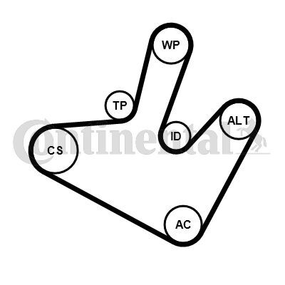 CONTINENTAL CTAM, Jeu de courroies trapézoïdales à nervures