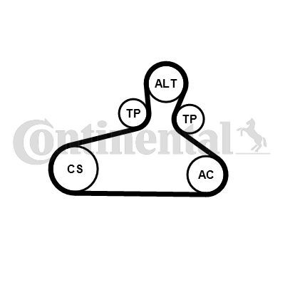 CONTINENTAL CTAM, Jeu de courroies trapézoïdales à nervures