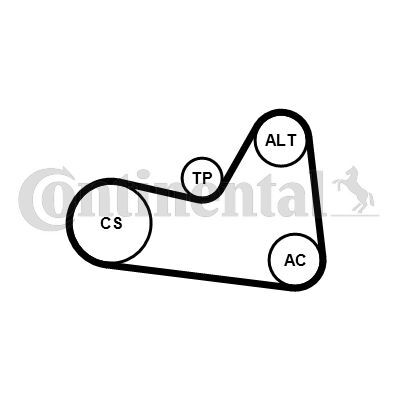 CONTINENTAL CTAM, Jeu de courroies trapézoïdales à nervures