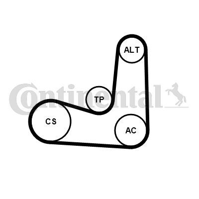 CONTINENTAL CTAM, Jeu de courroies trapézoïdales à nervures