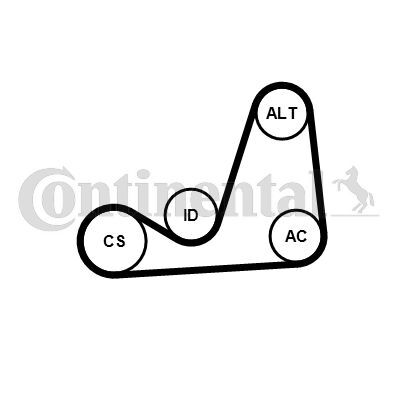 CONTINENTAL CTAM, Jeu de courroies trapézoïdales à nervures