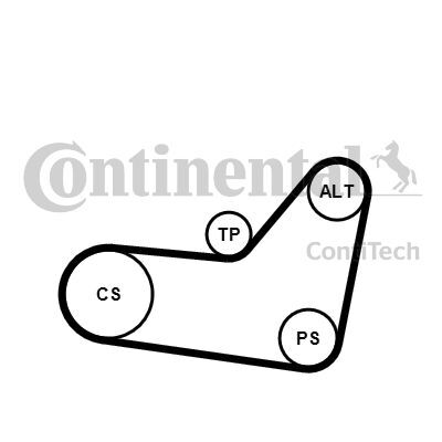 CONTINENTAL CTAM, Jeu de courroies trapézoïdales à nervures