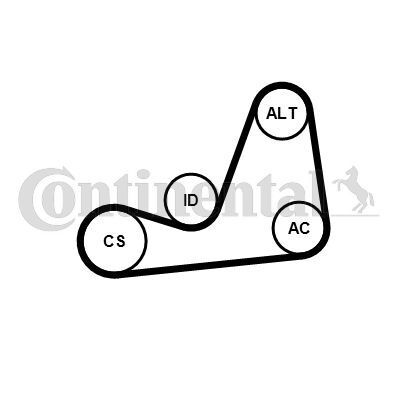 CONTINENTAL CTAM, Jeu de courroies trapézoïdales à nervures