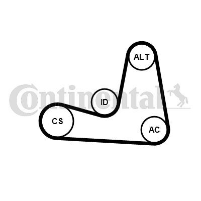 CONTINENTAL CTAM, Jeu de courroies trapézoïdales à nervures