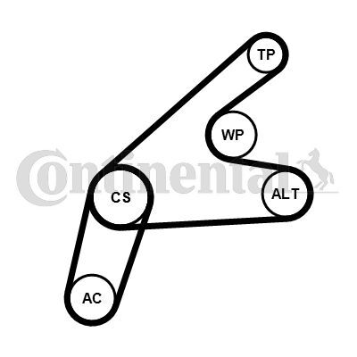 CONTINENTAL CTAM, Pompe à eau+Jeu de courroie trapézoïdale à nervures