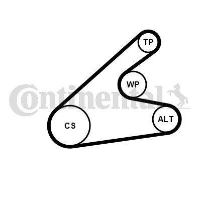 CONTINENTAL CTAM, Pompe à eau+Jeu de courroie trapézoïdale à nervures