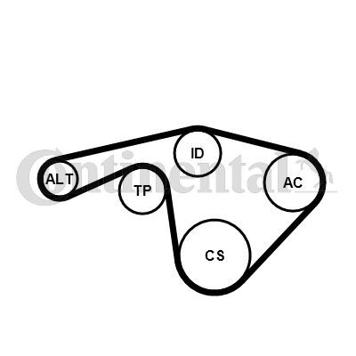 CONTINENTAL CTAM, Jeu de courroies trapézoïdales à nervures