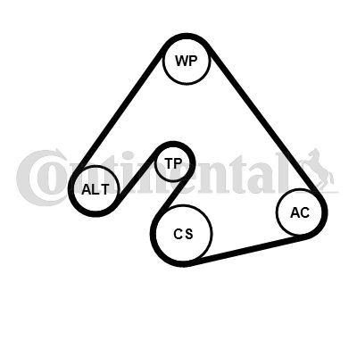 CONTINENTAL CTAM, Pompe à eau+Jeu de courroie trapézoïdale à nervures