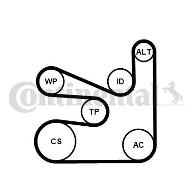 CONTINENTAL CTAM, Jeu de courroies trapézoïdales à nervures