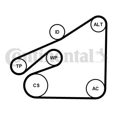 CONTINENTAL CTAM, Pompe à eau+Jeu de courroie trapézoïdale à nervures