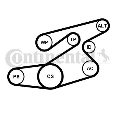 CONTINENTAL CTAM, Pompe à eau+Jeu de courroie trapézoïdale à nervures