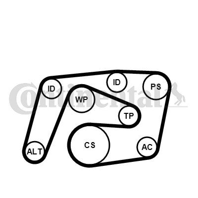 CONTINENTAL CTAM, Pompe à eau+Jeu de courroie trapézoïdale à nervures