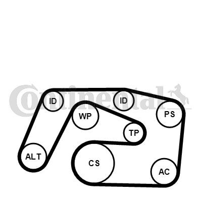 CONTINENTAL CTAM, Pompe à eau+Jeu de courroie trapézoïdale à nervures