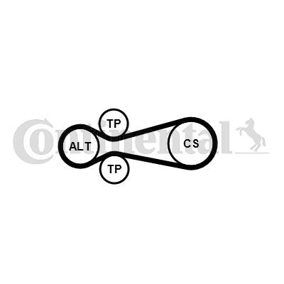 CONTINENTAL CTAM, Jeu de courroies trapézoïdales à nervures