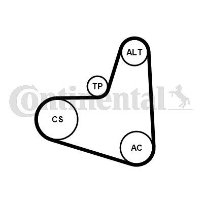 CONTINENTAL CTAM, Jeu de courroies trapézoïdales à nervures